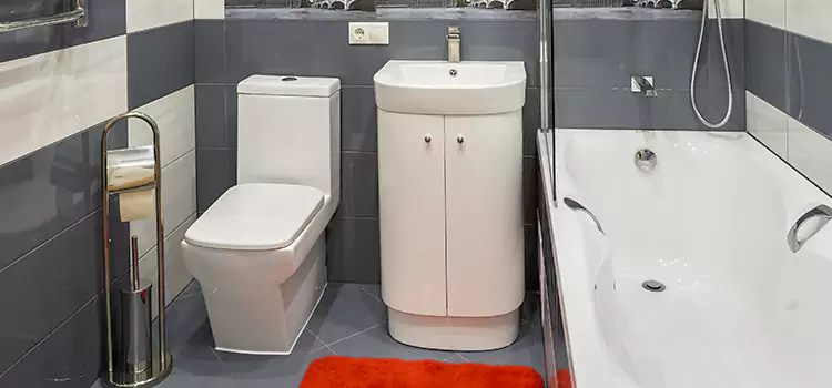 Hansgrohe Shaving Mirror Irving